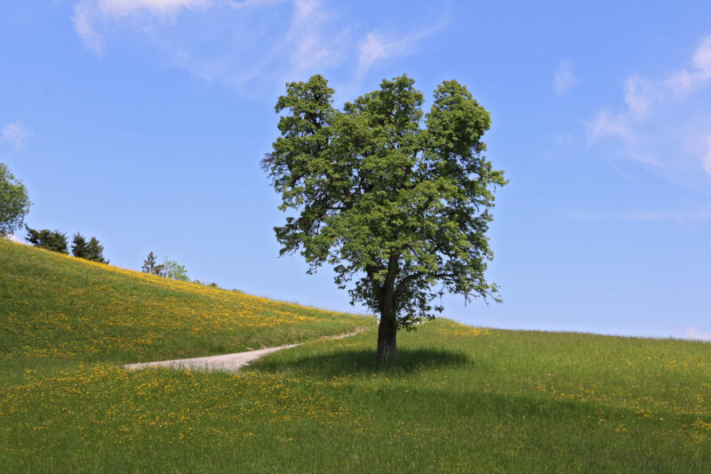Landschaftsfotografie